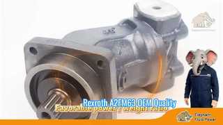 Oem Kalite A2FM63 Rexroth Serisi 6 Eksenel Pistonlu Sabit Motor Fabrika Fiyat Gönderi Hızlı Vitrin